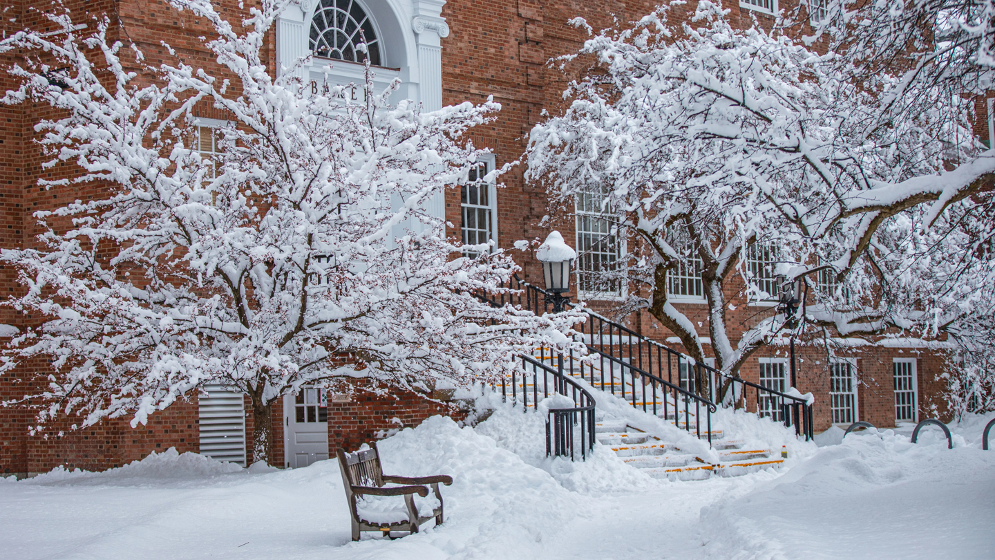 A photo of recently-fallen snow on trees outside the side entrance of Berry-Baker Library