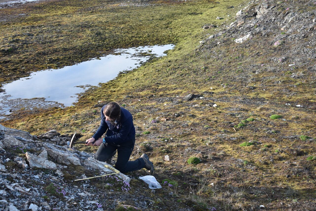 girl collecting Arctic rocks