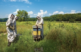 A photo of students working at behives at the Dartmouth Organic Farm 