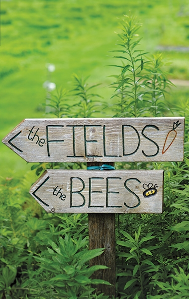 A photo of a sign at the Dartmouth Organic Farm that points to the fields and to the bees
