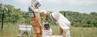 Photo of students examining a hive frame at the Organic Farm