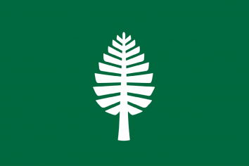 lone pine