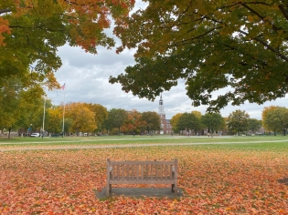 A picture of the Dartmouth Green in the Fall with beautiful fall foliage.