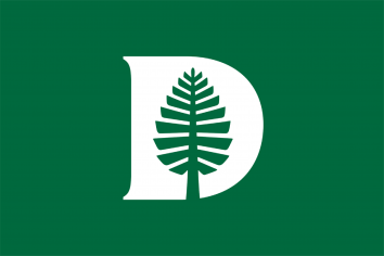 D-Pine placeholder