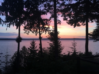 Pink and blue sunset over a lake through the trees
