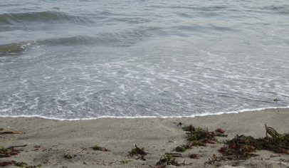 Ocean