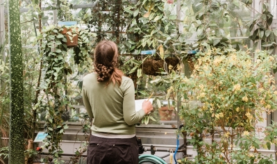 A photo of a student doing research in the greenhouse