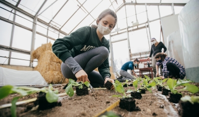 A photo of students in the greenhouse tending to starter plants