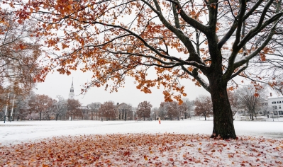 A photo of fall leaves peeking through the first snowfall on the Dartmouth Green