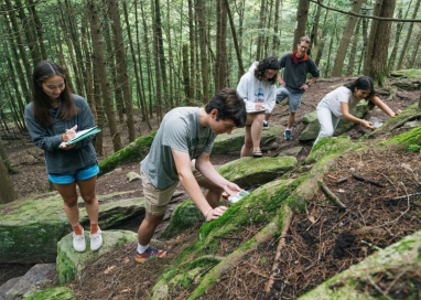 A photo of students doing reseach in the woods off campus
