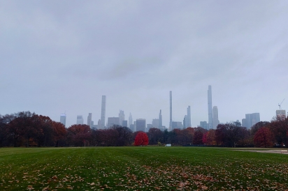 A picture of New York Skyscrapers from the central park