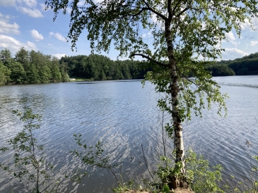 A view of the Connecticut river during the summer