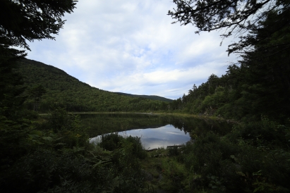 A panorama of a dark blue lake surrounded by a dark green forest.