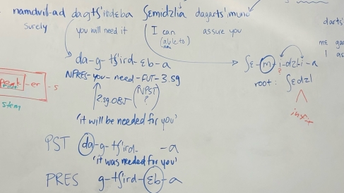 Jumbled linguistics notes on a whiteboard from students attempting to parse the morphology of Georgian phrases