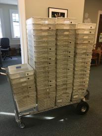 stacks of male tubs