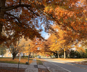 Fall foliage, both sides of the street feature tall trees with turning leaves of orange, red, and yellow color
