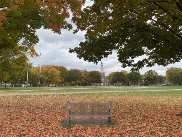 A picture of the fall foliage on the Green. 