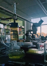 a microscope and other scientific equipment in a Dartmouth biology lab