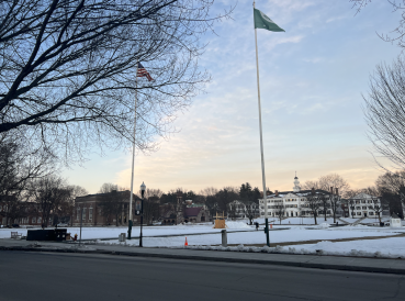 Beautiful Winter Picture of the Green Beautiful Winter Picture of the Green