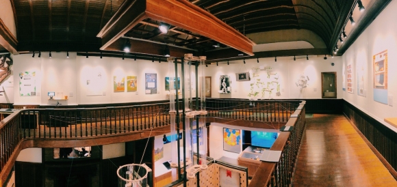 A panorama shot of the Fairbanks museum showing all three sides of the exhibit created by Dartmouth students