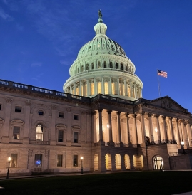 view of the US Capitol Building