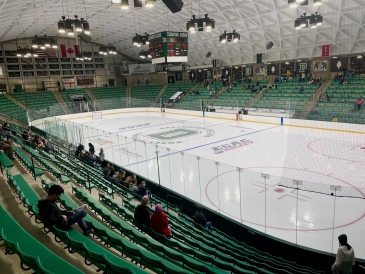 Women's Hockey Game Against Harvard