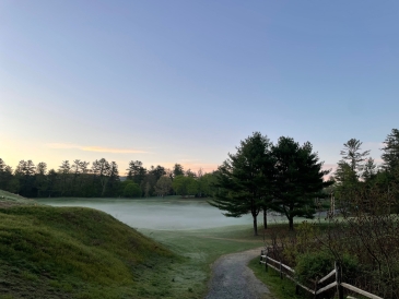 Pine Park in the Morning Pine Park in the Morning