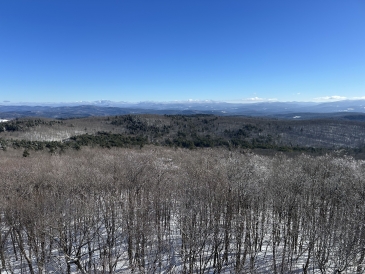 Scenic views from the top of Gile Mountain's fire tower of trees upon trees on a sunny, clear day