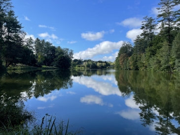 sydney wuu pond reflection
