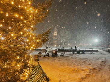 sydney wuu snow at night