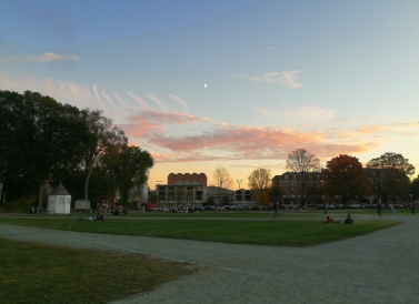 Campus from the green