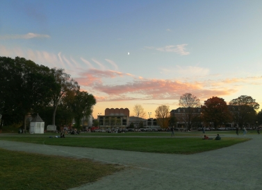 Campus from the Green Campus from the green
