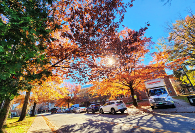 Campus photo with trees with different types of fall leaves 