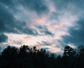 A pink sunrise broken up by dark trees