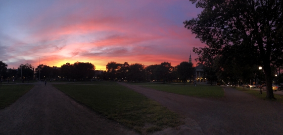Spectacular sunset on The Green Sunset on the Green