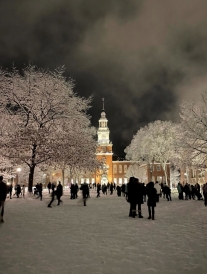 A picture of the snowball fight 