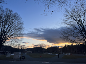 Skyline from the Green!