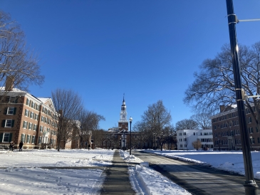 Baker Berry in the snowy winter