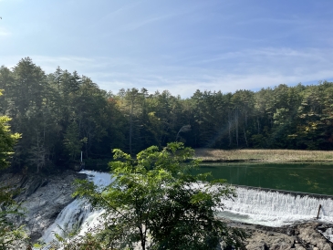 A photo of Quechee Dam, showing trees in the background and a large waterfall in the foreground. 