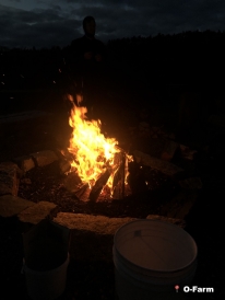 Fall_Bonfire