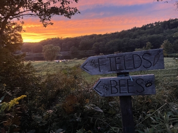 The Fields and the Bees sign in the field with a sunset in the background. 