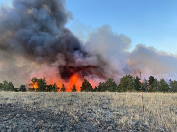A massive wildfire in Montana