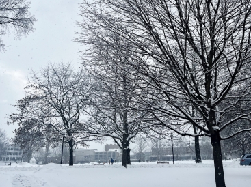 Dartmouth snowy day