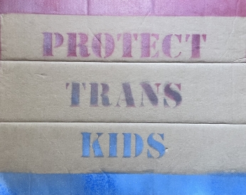 a cardboard sign with pink and blue paint on it that says, in all capital letters, "PROTECT TRANS KIDS"
