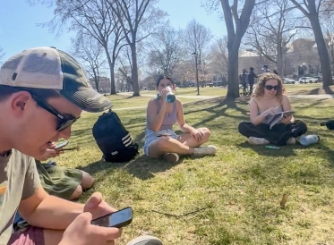 Sunny Day on the Green