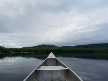 canoe floating on pond