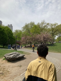 Central Park!