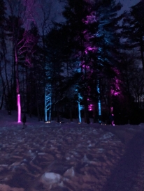 Pink and purple light display during the winter