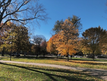 A photo of the Dartmouth green during fall.
