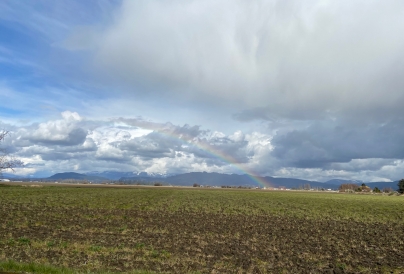 Rainbow over farmland